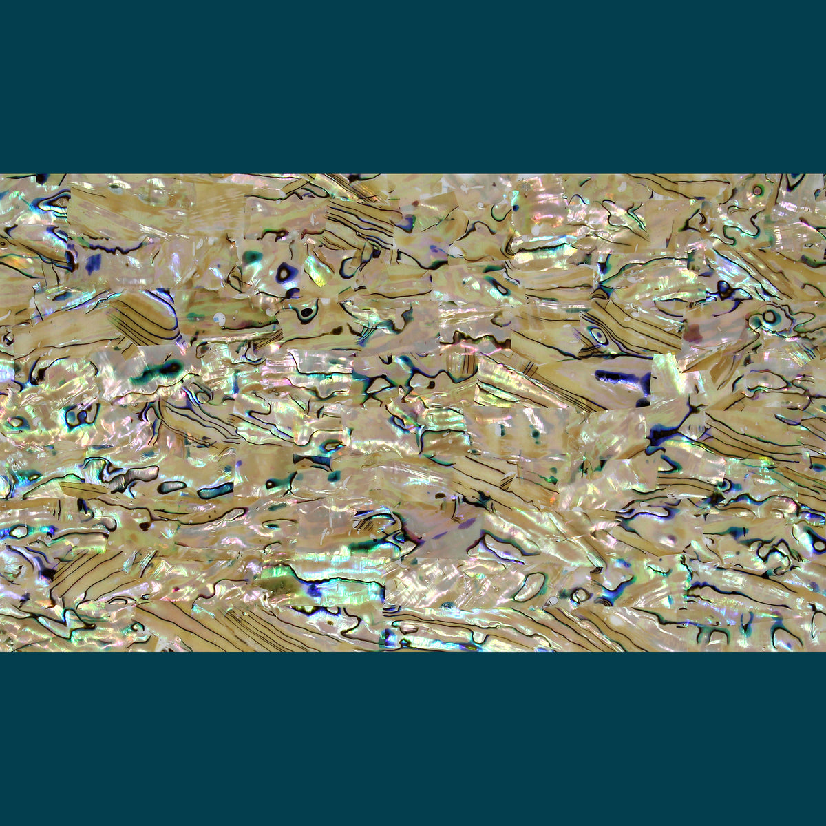 Natural, Extra Light Abalone Shell Veneer