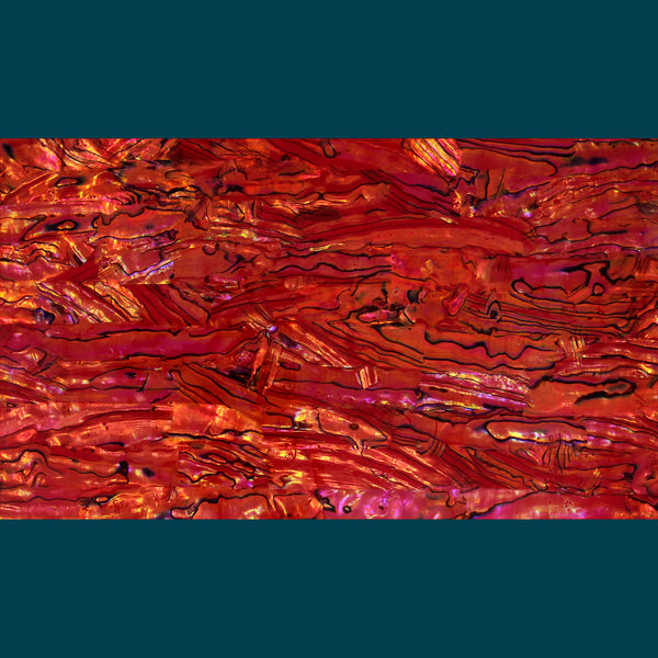Ruby Red Abalone Shell Veneer