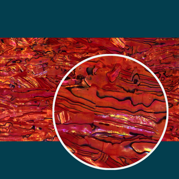 Ruby Red Abalone Shell Veneer