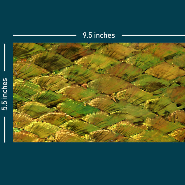 Pearl Natural Old Gold Abalone Shell Veneer