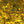 Load image into Gallery viewer, Bronze White Mother of Pearl Shell Veneer