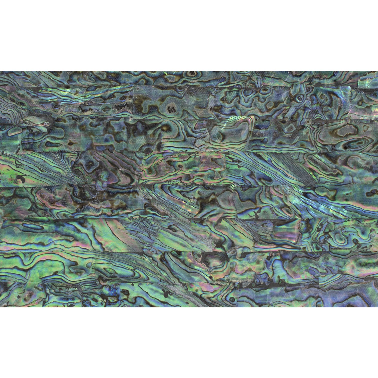 Abalone – Shell Veneer