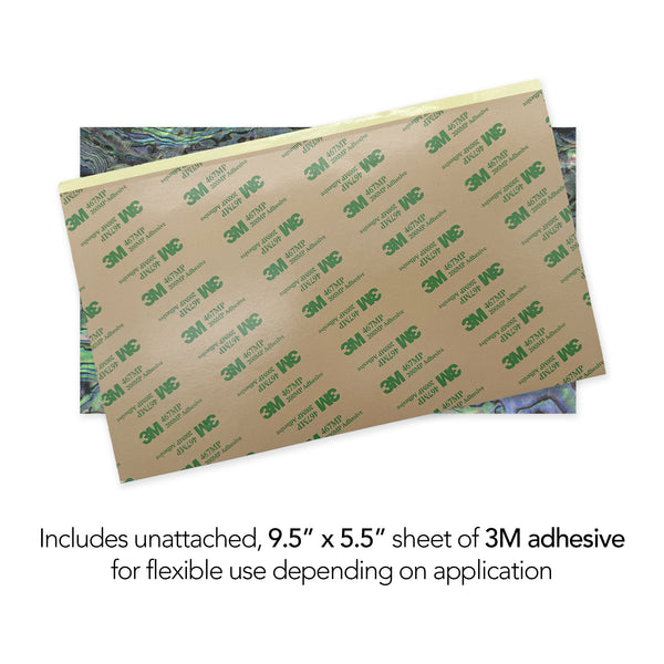 Flexible Natural Abalone Shell Veneer